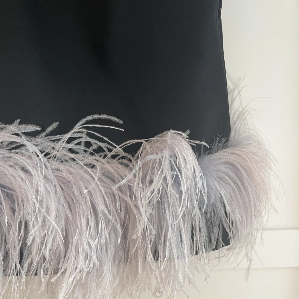 16ARLINGTON Black mini dress with feather trim - Picture 4 of 12